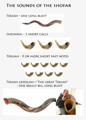 Sounds of the Shofar Resized