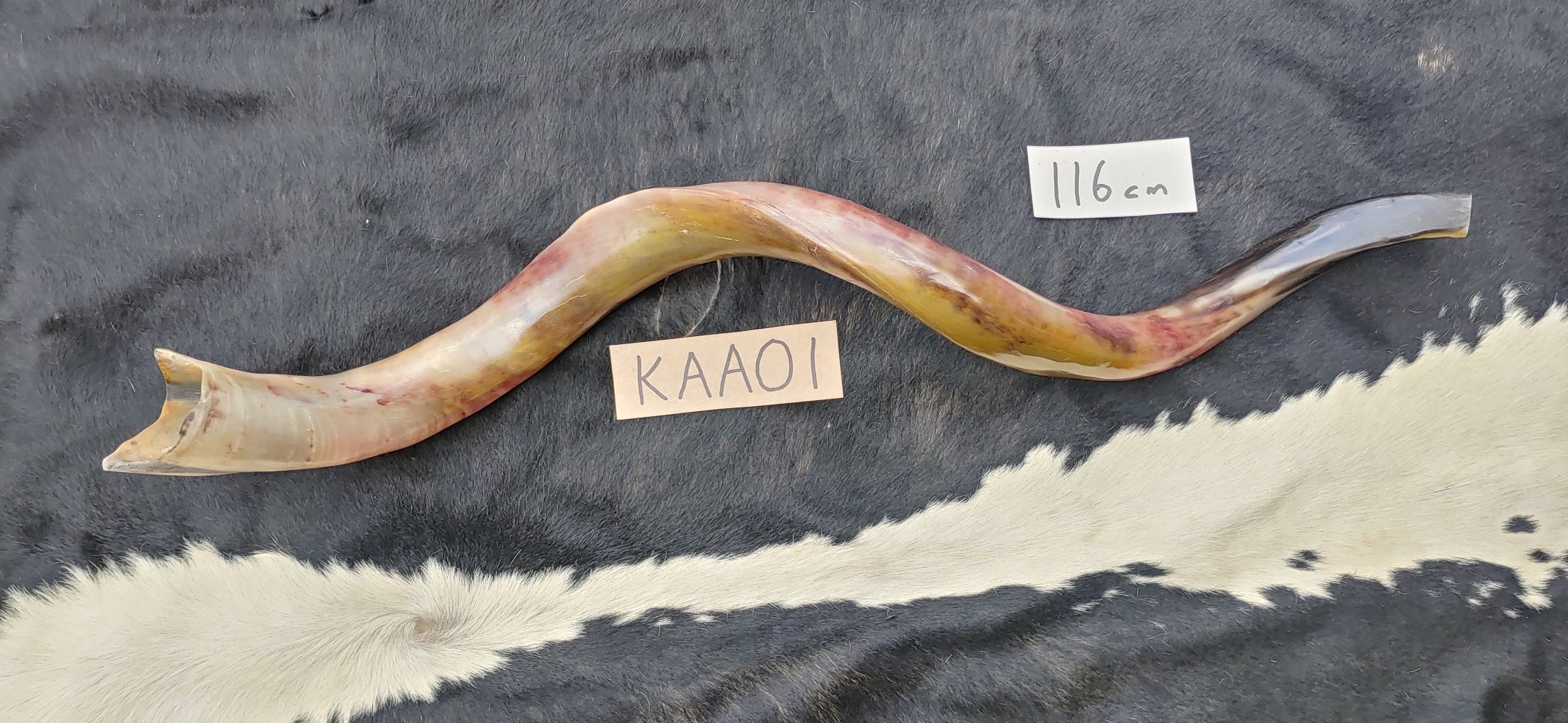 KAA01 f